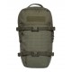 TASMANIAN TIGER - TT Modular Daypack L titan